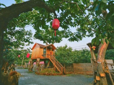 迁西归巢部落树屋民宿 - 场地环境